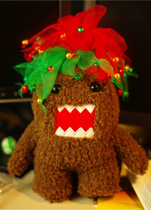 festive domo enjoys your company