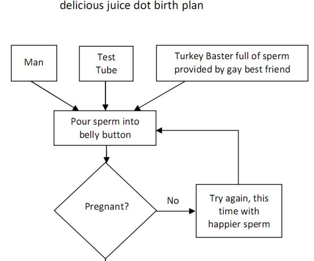 birth plan