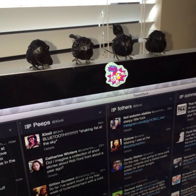 caw! no bluetooth for you! caw!