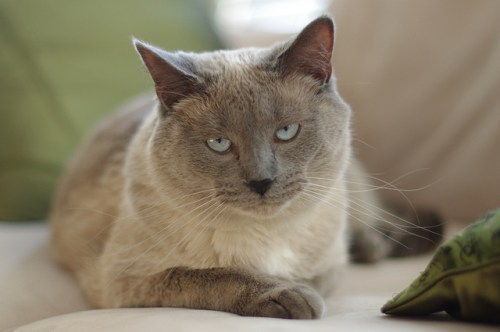 5953394266_73ed1ff062_z