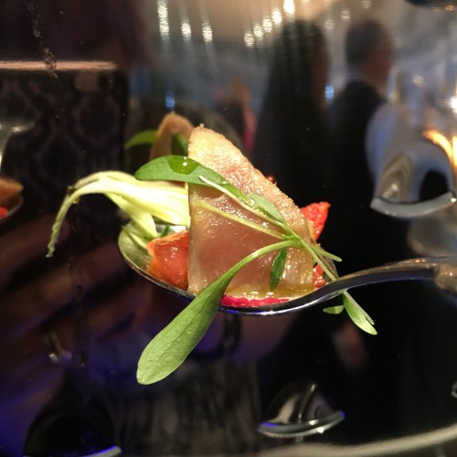 tuna tataki: seared tuna, micro greens, avocado, grapefruit, heirloom tomatoes, refreshing cilantro drizzle (which, incidentally, is the name of my mariachi-themed TLC cover band)