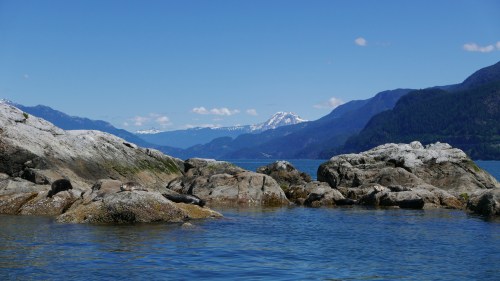 sure was pretty, though