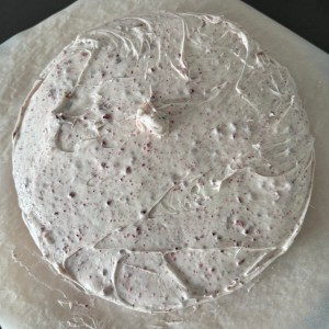 a pretty terrible cherry chip cake.